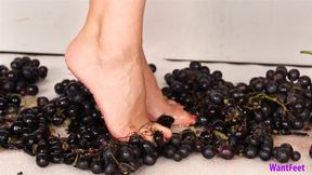 Barefoot Grape Crush - 4K MP4