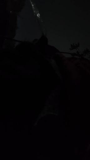 public piss