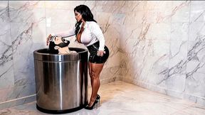 Bathroom Trashcan story