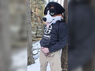 Fur @AngryBarks jerking off in the woods. Oozes cum then discharges hard ????