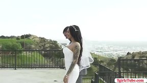 Transvestite eva finally gets anal by husband