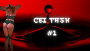 Audio Only - CEI Task #1