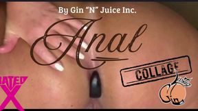 Anal Play Collage