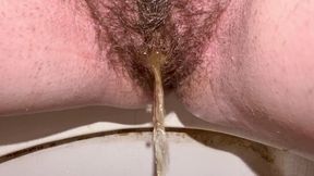 Compilation of pissing