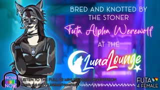 Bred &amp; Knotted by the Alpha Futa Werewolf. Domme Lesbian. Erotic Audio ASMR 4 Sub Women. NovaNoiz
