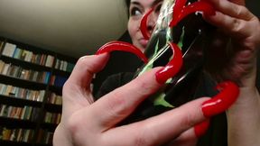 scratch stuff around the house jan 2026