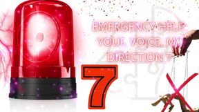 Emergency Help: Your Voice, My Direction 7