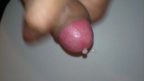 thu dam xuat tinh chim to