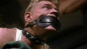 Falcon Studios: In Search of the Forbidden Film