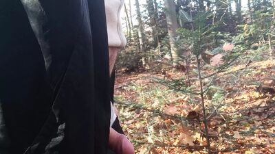 In nature in the forest