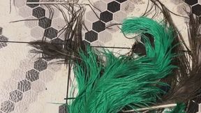 Master of Fetishes Fur Fetish MP4