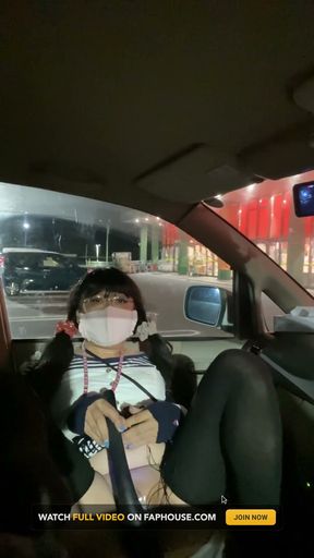 No. 308 Public Masturbation Drive