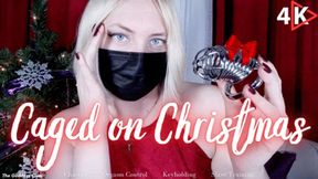 Caged on Christmas - 4K - The Goddess Clue, Chastity Slave Training for the Holiday Season, Orgasm Control, Erection Denial, Long Term Chastity, Playful Keyholder, Holiday Themed