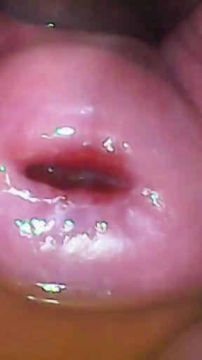 Extreme Close-up Pussy Cam