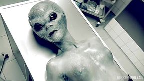 Roswell Ufo