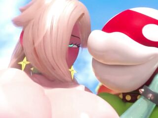 THE SECRET OF THE PRINCESS FROM SUPER MARIO BROS