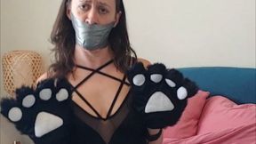 Bound Kitty