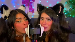 ASMR TWO Cats Flirt and Lick Your Ears with Eye Contact layered  sounds - CorneliustheCat ASMR