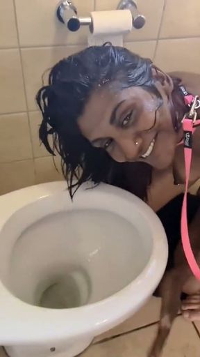 Desi slut walked to the toilet like a dog, gets pissed on and sucks cock   Clip 2