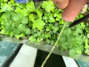 Close up outdoor piss on a wall