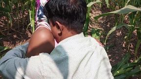 Indian Shemale Village Forest Corn Field Fucking - Desi Movies In Hindi