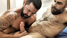 mais doce que mel parte 2 - com tedbluebear e bearcomsunga