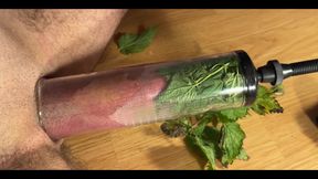 CBT Stinging Nettles Pump Cum