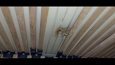 masturbation with the hole in the mattress and ejaculation of sperm under the bed