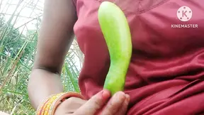 Indian desi babhi Faking sex new