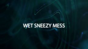 Wet Sneezy Mess