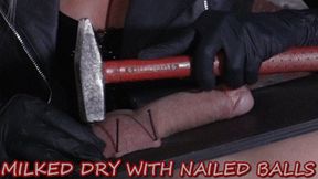 MISTRESS ISIDE - MILKED DRY WITH NAILED BALLS HD