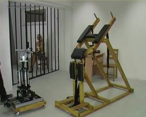 Sandras Spanking Machine - Ass Paddle