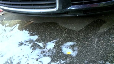 Alisha Sweet - Sie würde vielleicht auch dein Auto waschen ... meins hat sie gewaschen