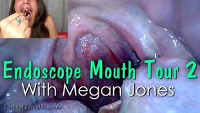 Endoscope Mouth Tour 2 - Megan Jones - HD 720 WMV