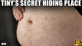 KingMarti: Tinys Secret Hiding Place - 4k UHD 2160p - MOV