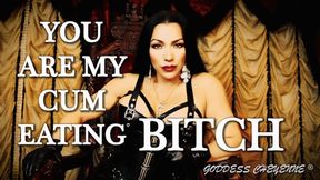 You Are My Cum Eating Bitch mp4