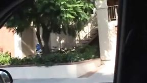 Black cutie sucks big dick and gets her ass fucked