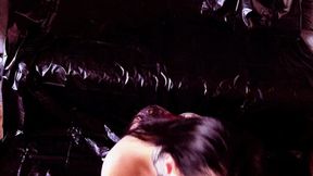 13. Advent Calendar 2025