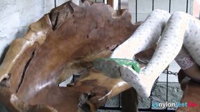 Sweet blonde models gorgeous stockings just for you