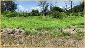 Wifeydoes Have the Best Amateur Tits for Flashing!