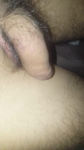 amateur cock