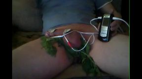 EStim und Brennessel