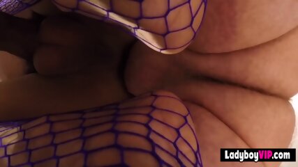 Hot Thailand shemale slut in purple fishnet lingerie