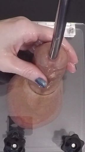 Clearing the Urethra Results in Copious Sperm Flow