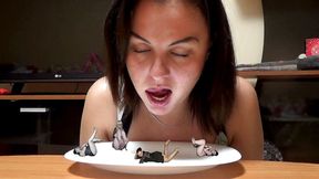 I Am Going to Eat 4 Girls. Mmm Yummy!