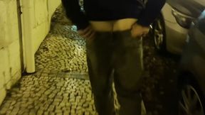 compilation of amateur boys flashing their ass in the street