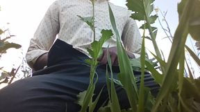 Desi Boy