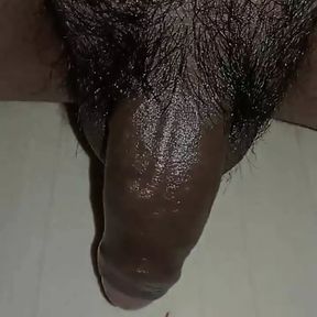 Desi Land Massage Big Cock