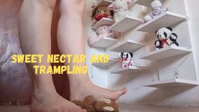 Sweet nectar and trampling