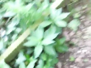Golden-haired British bitch goes dogging